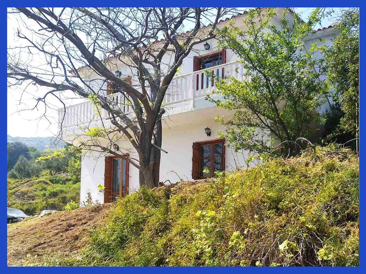 Kampos View Ikaria Apartman Évdilosz Kültér fotó