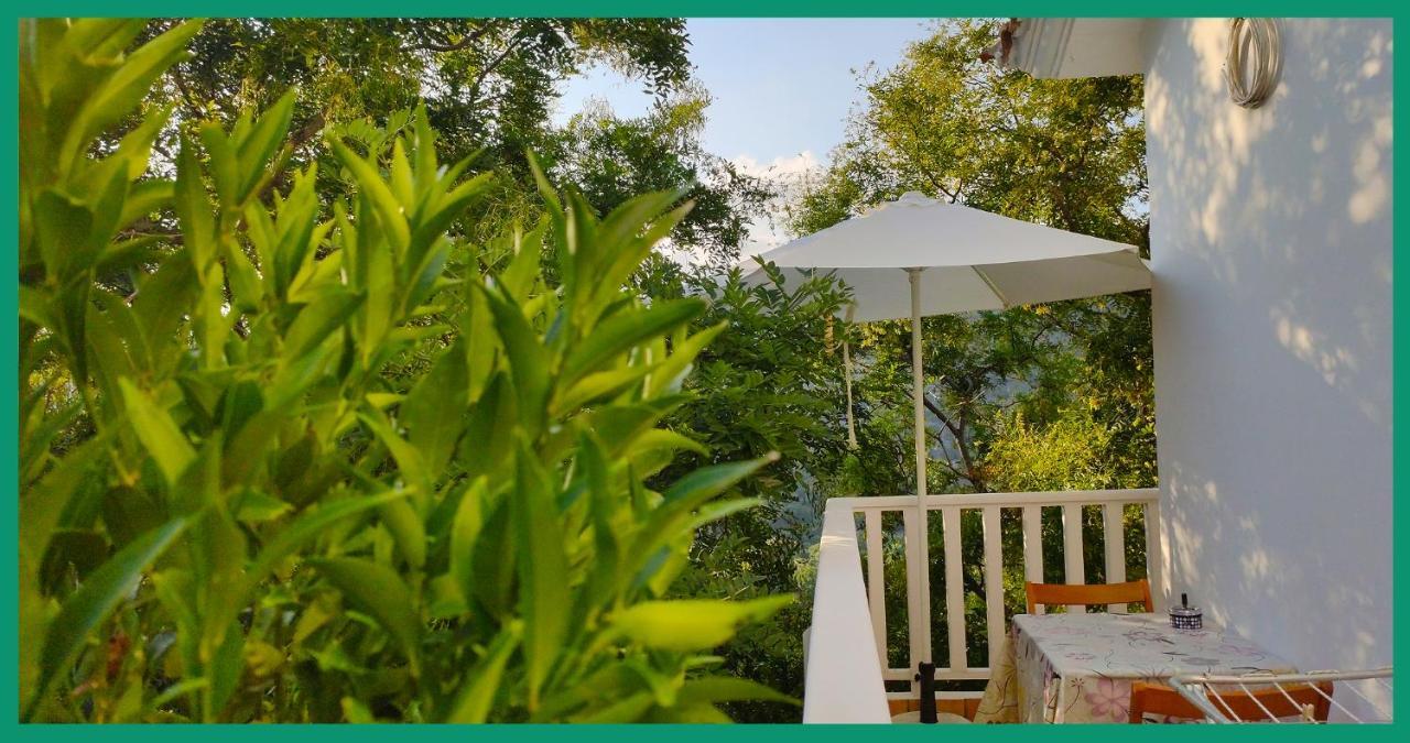 Kampos View Ikaria Apartman Évdilosz Kültér fotó