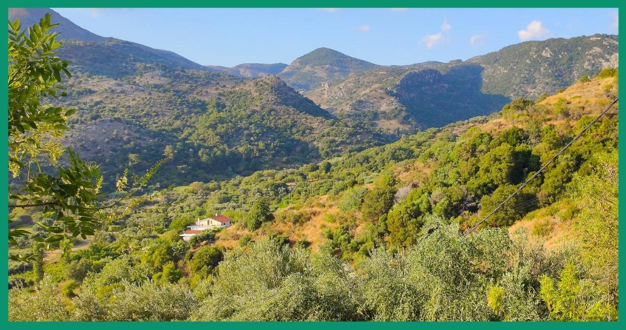 Kampos View Ikaria Apartman Évdilosz Kültér fotó