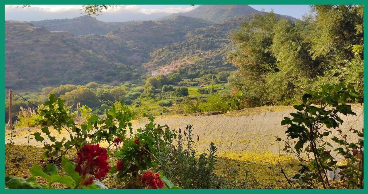Kampos View Ikaria Apartman Évdilosz Kültér fotó