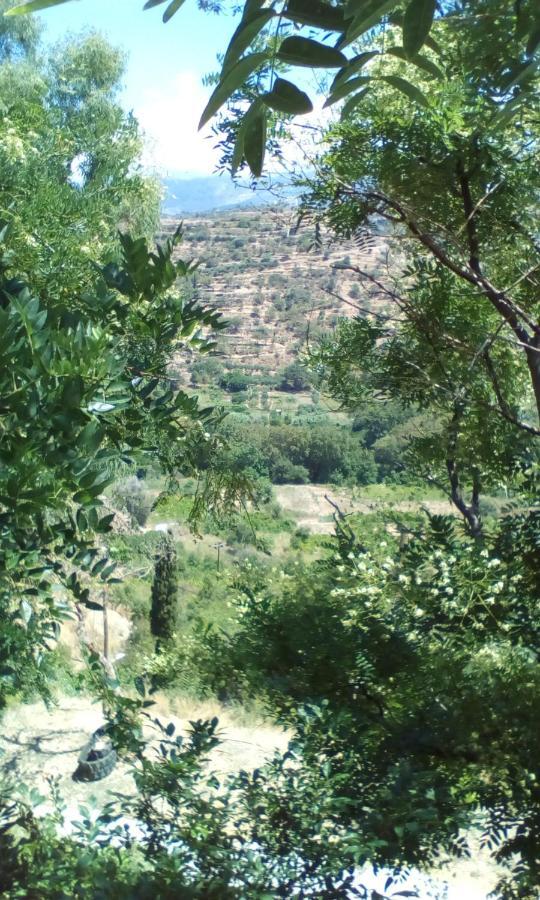 Kampos View Ikaria Apartman Évdilosz Kültér fotó
